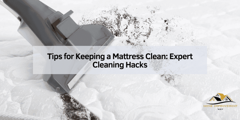 Tips for Keeping a Mattress Clean