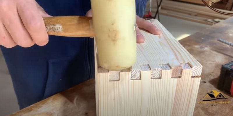 Can You Dovetail Plywood