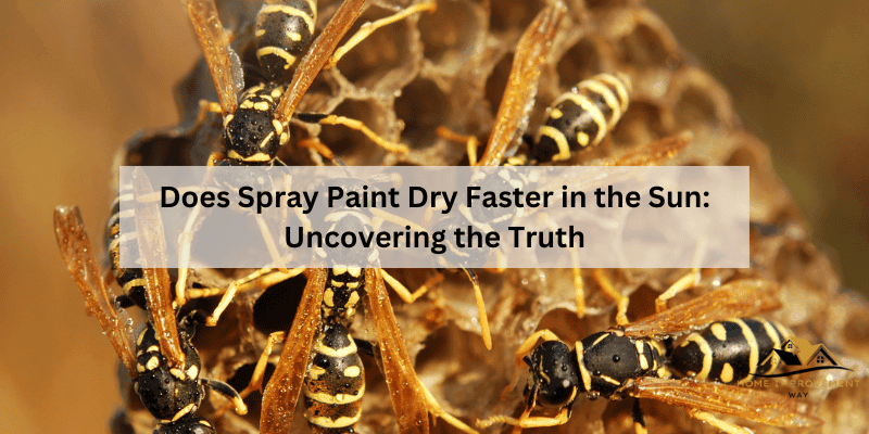 Do Wasps Like Cedar Wood