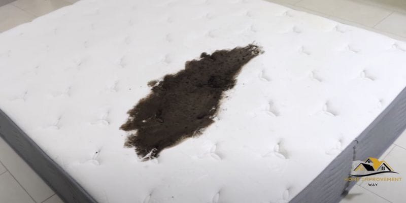 How to Get Coffee Out of Mattress