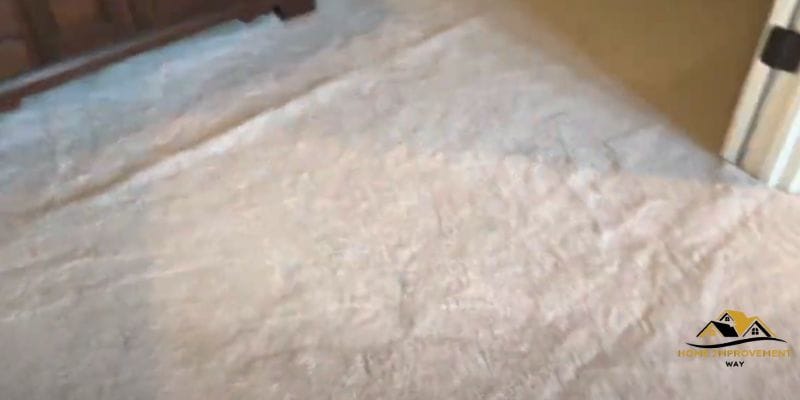 How to Fix Carpet Ripples