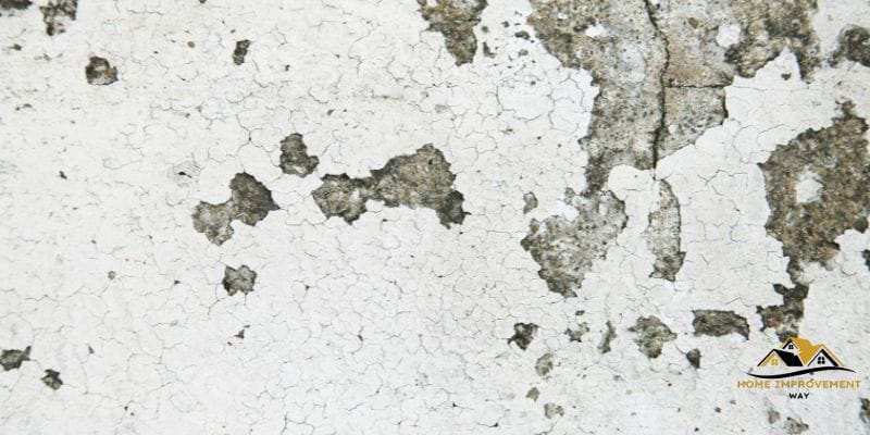 How to Quickly Restore Chipped Paint on Wall