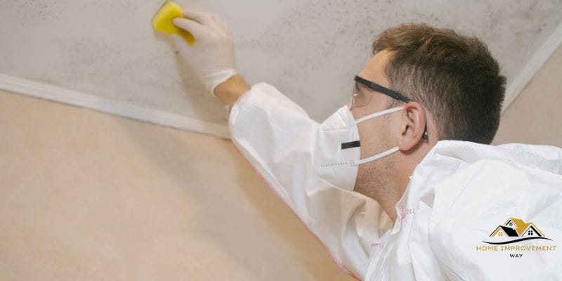 How to Easily Remove Paint from Ceiling