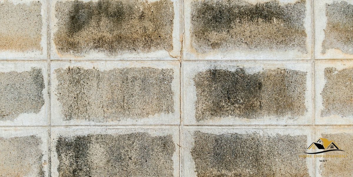 How to Remove Efflorescence From Concrete  Block Walls