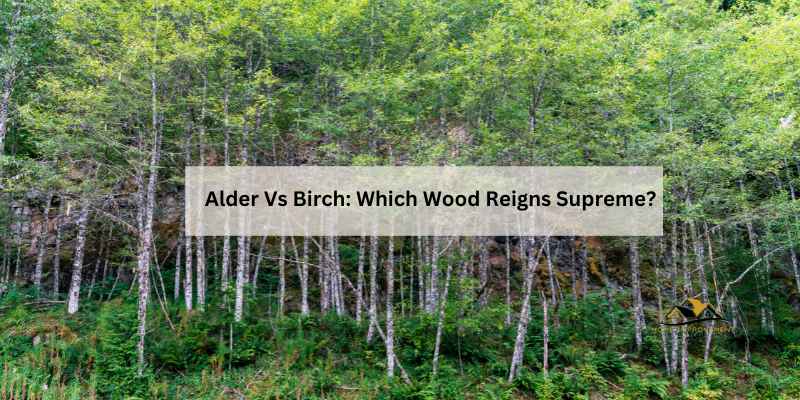 Alder Vs Birch