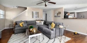 Area Rug for Beige Couch