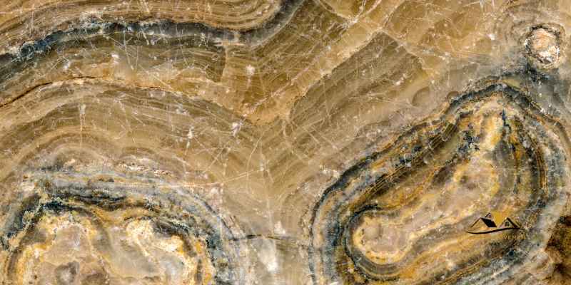 Refinish Or Polish a Petrified Wood