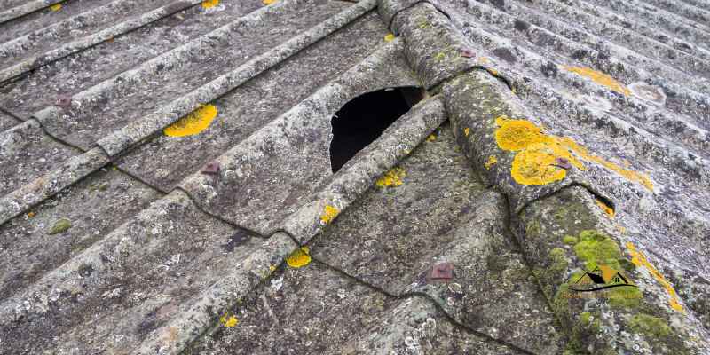 What is Black Mastic Asbestos