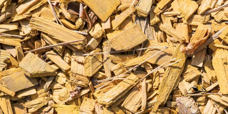 Can You Smoke With Pine Wood