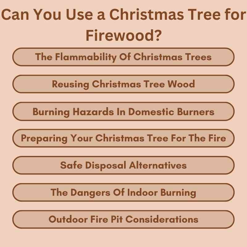 Can You Use a Christmas Tree for Firewood (3)