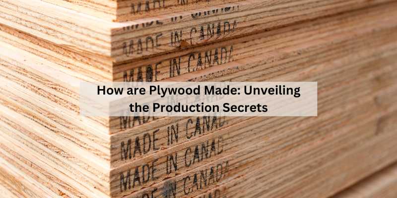 How are Plywood Made