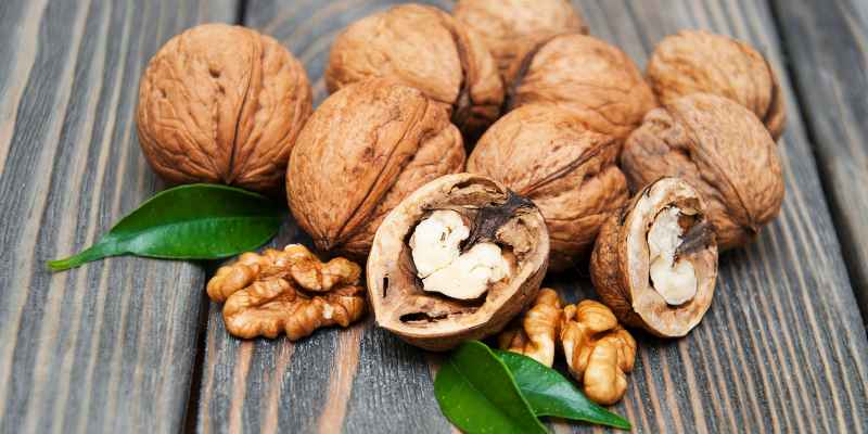 Holiday Walnut Woods: A Serene Getaway Guide