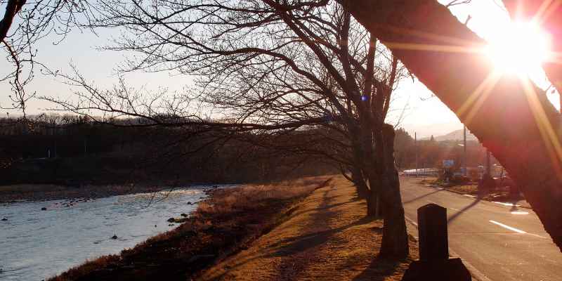 Firewood Riverside: Essential Tips for Quality Selection