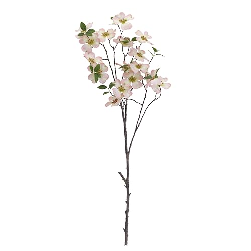Dogwood Stems for Sale
