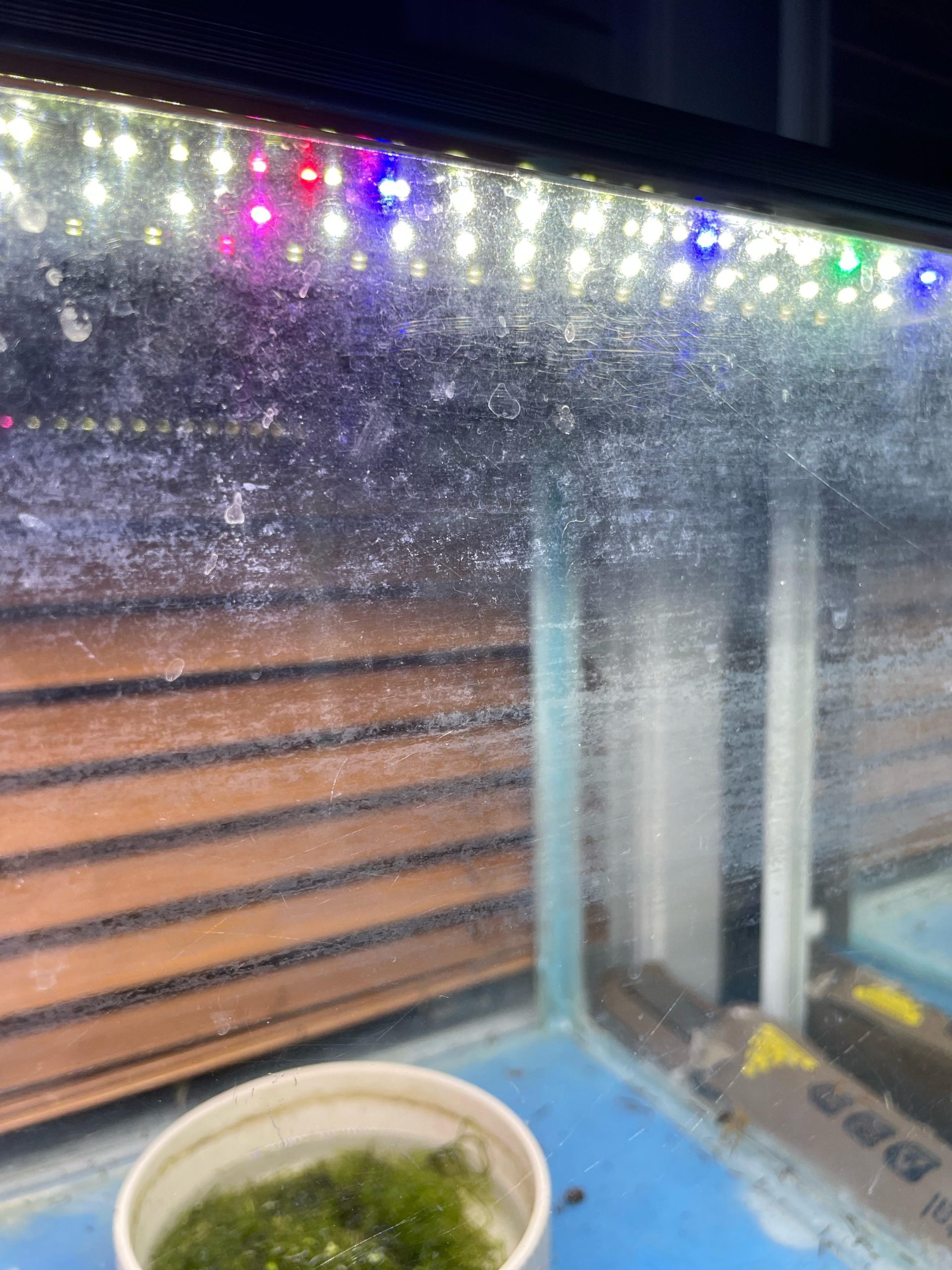 Will Acrylic Paint Wash Off If Used Inside an Aquarium?