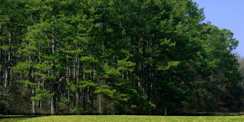 How Far Is Kennesaw Ga From Me