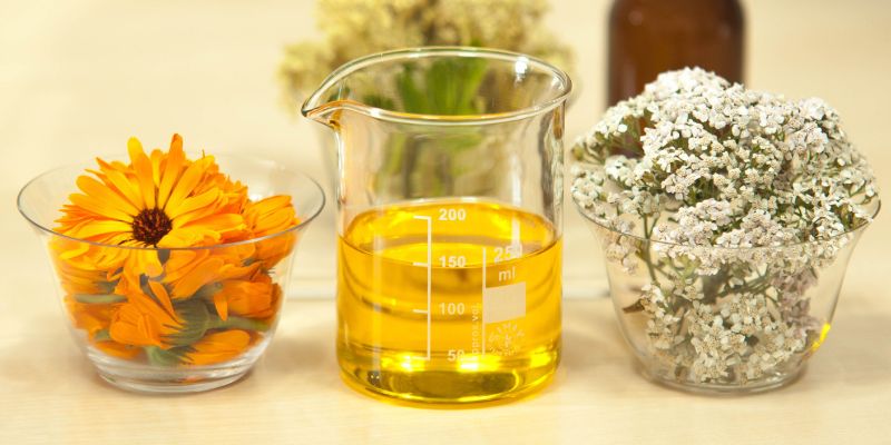 What Is Tung Oil Made From