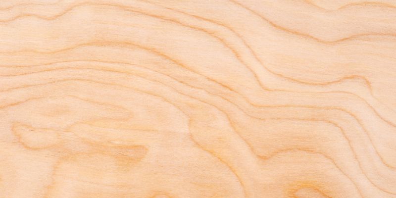 8 Birch Wood Projects for Light Beauty