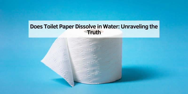 Does Toilet Paper Dissolve in Water