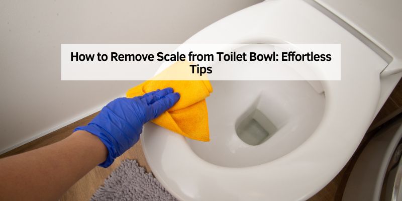 How to Remove Scale from Toilet Bowl