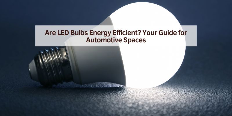 Are LED Bulbs Energy Efficient