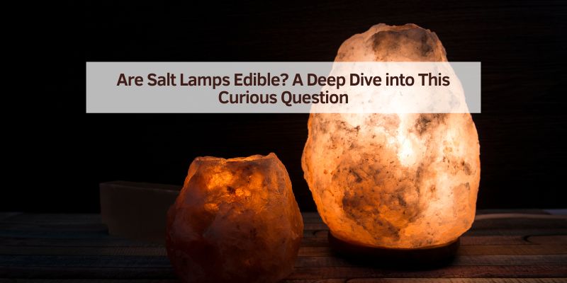 Are Salt Lamps Edible