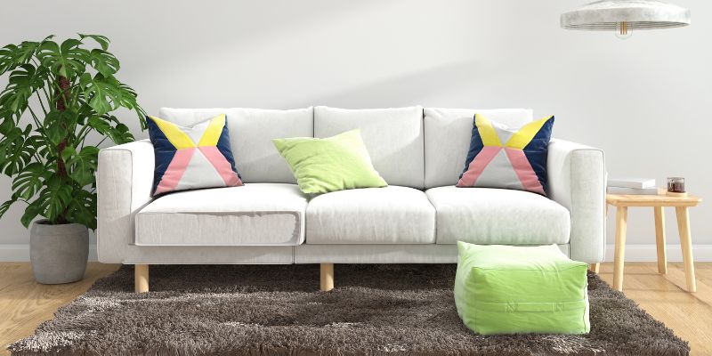 Assessing Your Furniture and Carpet