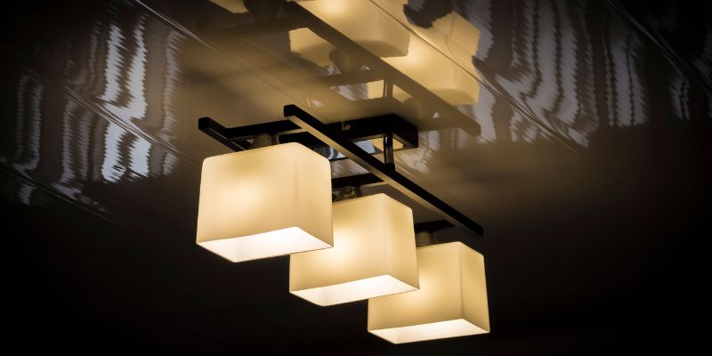 Choosing the Right Bulbs