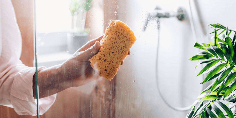 Cleaning Glass Shower Doors