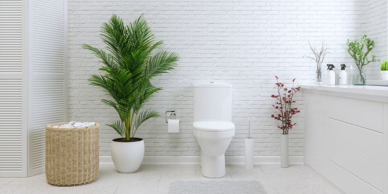 Dealing with Non-Standard Toilets