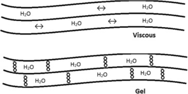 Fiber and Its Effect on Stool Density