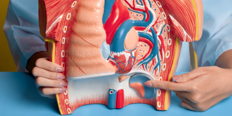 Health Tips to Support Your Kidneys