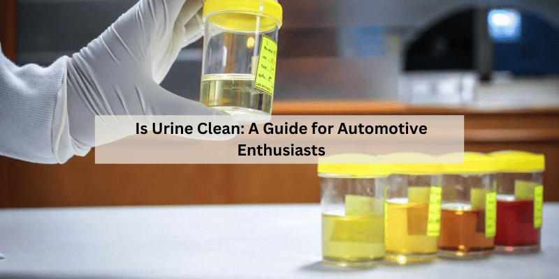 Is Urine Clean