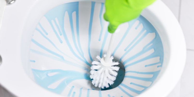Preparing to Clean Your Toilet Bowl