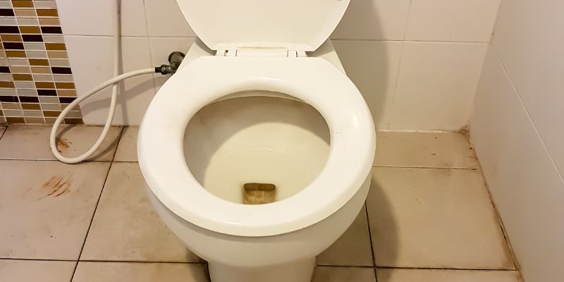 Removing Toilets in Different Homes