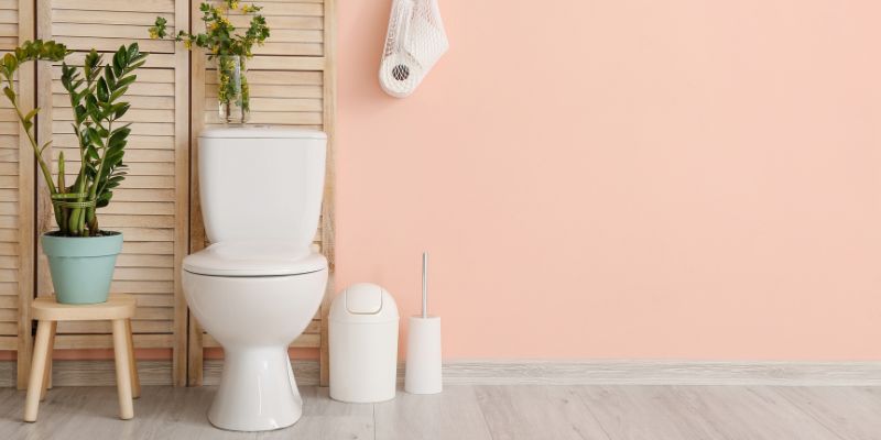 The Environmental Impact of Toilet Size and Water Usage