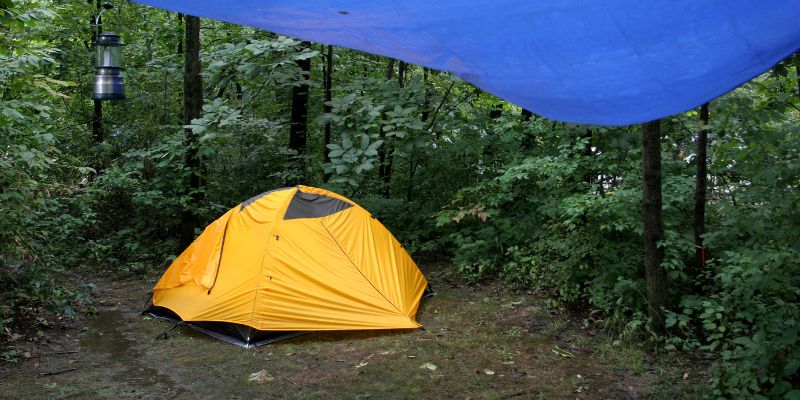 Tips for Understanding TARP as an Auto Fan