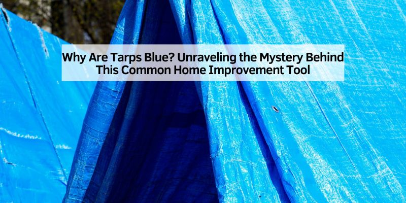 Why Are Tarps Blue