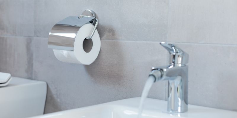 Bidets vs. Toilet Paper