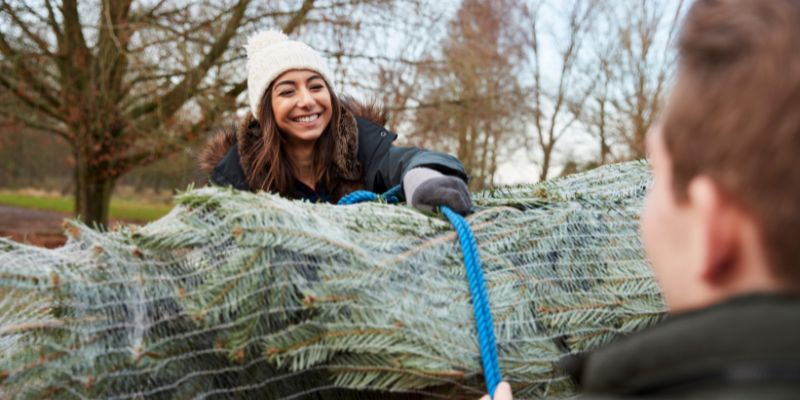 Choosing the Right Vehicle for Transport