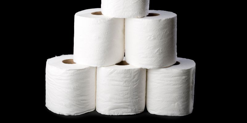 Why Toilet Paper Matters for Home Improvement
