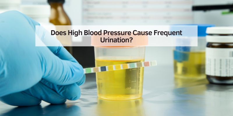 Does High Blood Pressure Cause Frequent Urination