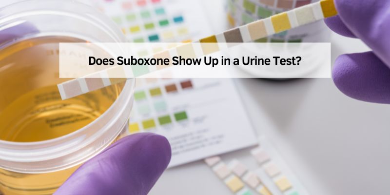 Does Suboxone Show Up in a Urine Test