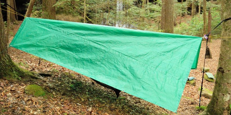 How Do You Spell Tarp