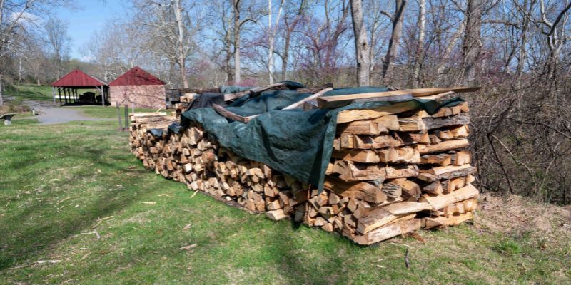 When to Cover Your Firewood