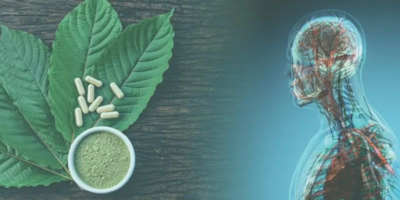 How to Stop the Itch