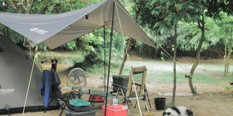 Types of Tarps and Their Uses