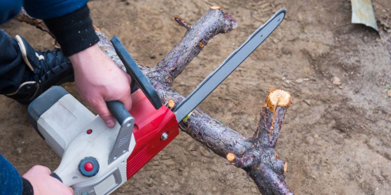 Gas vs Cordless Chainsaw