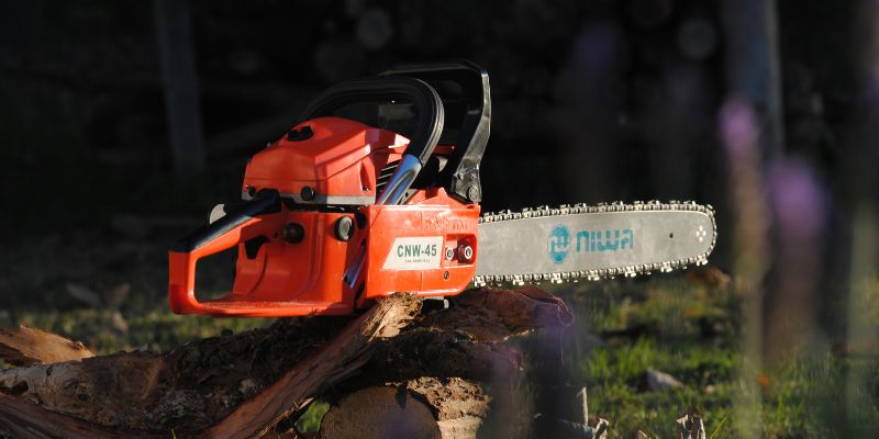 Gas vs Electric Chain Saw