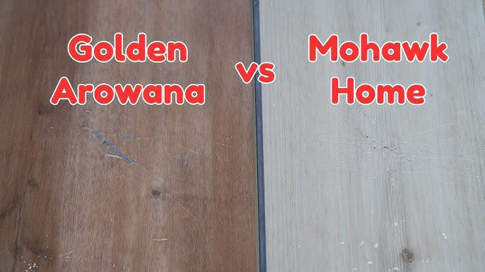 Golden Arowana Vs Mohawk